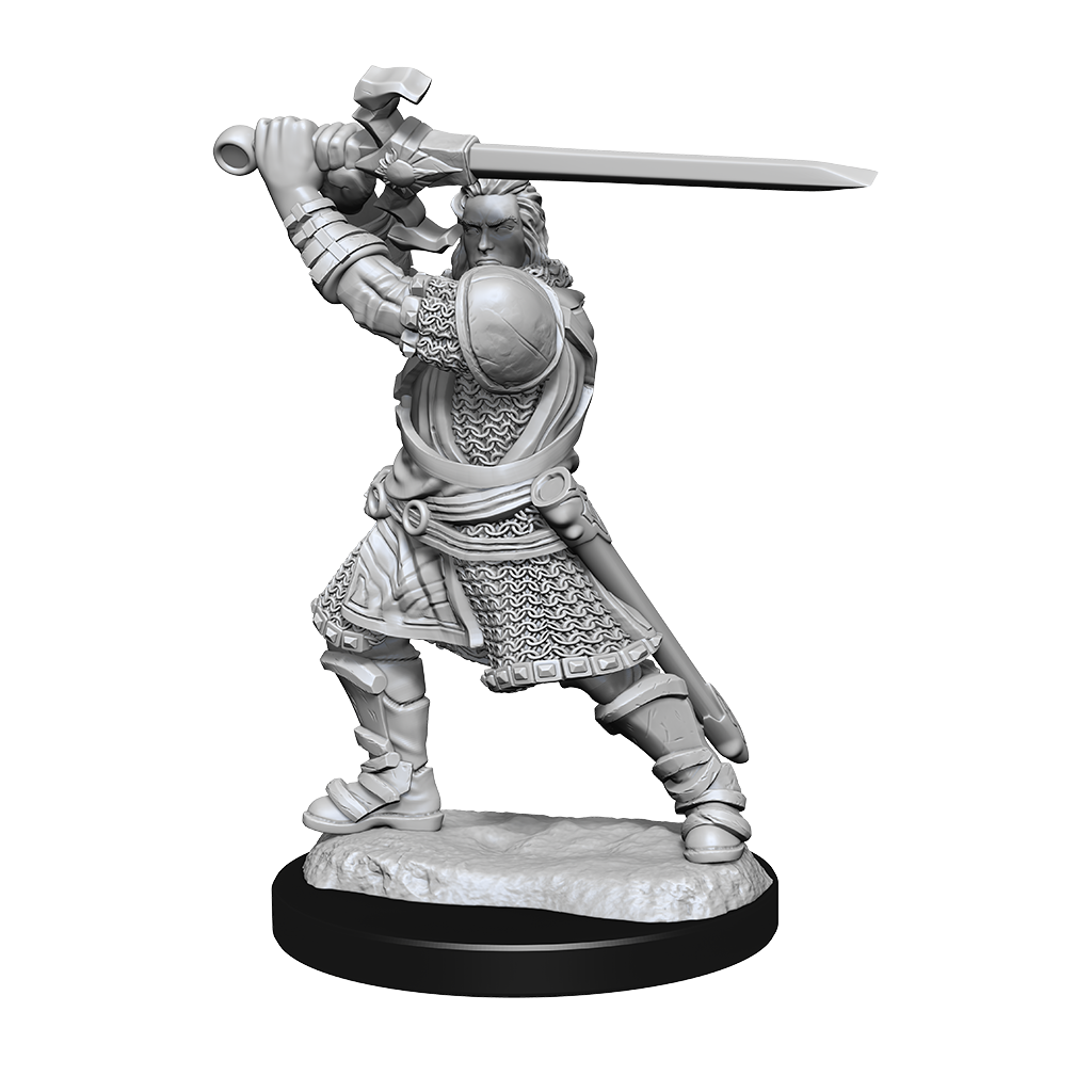 D&D Nolzurs Marvelous Unpainted Miniatures Human Paladin Male