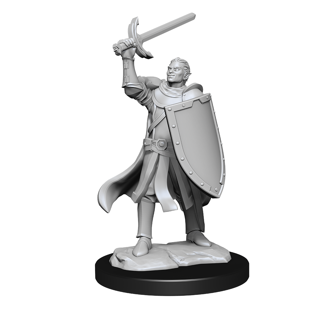 D&D Nolzurs Marvelous Unpainted Miniatures Half-Elf Paladin Male